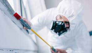 Emergency Pest Control in Glendale Heights, IL